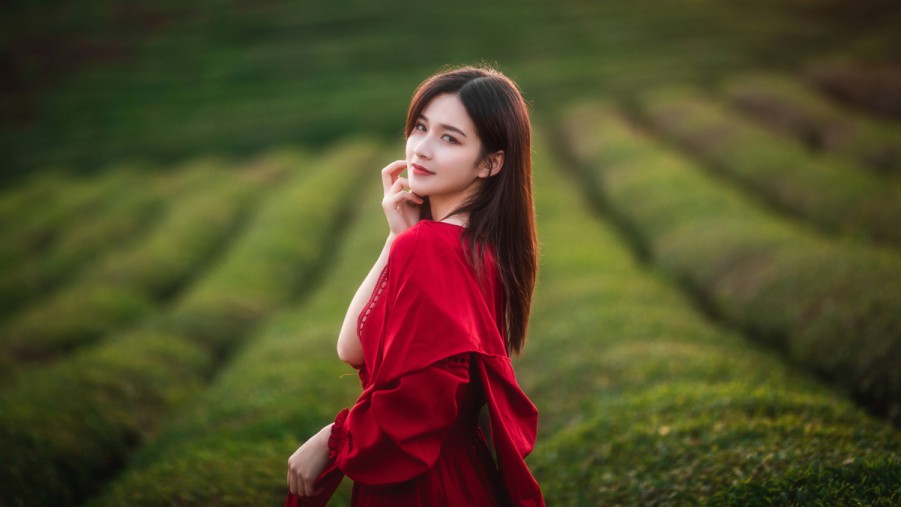 XCSEO付费SEO排名哪家好选择合适工具提升网站排名